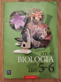 Biologia. Atlas. Klasy 5-6