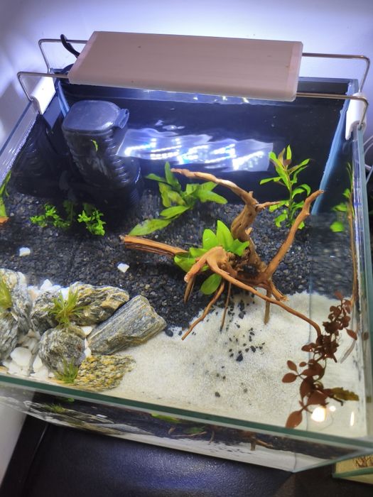 Akwarium 30L komplet