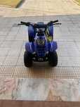 Mini motoquatro