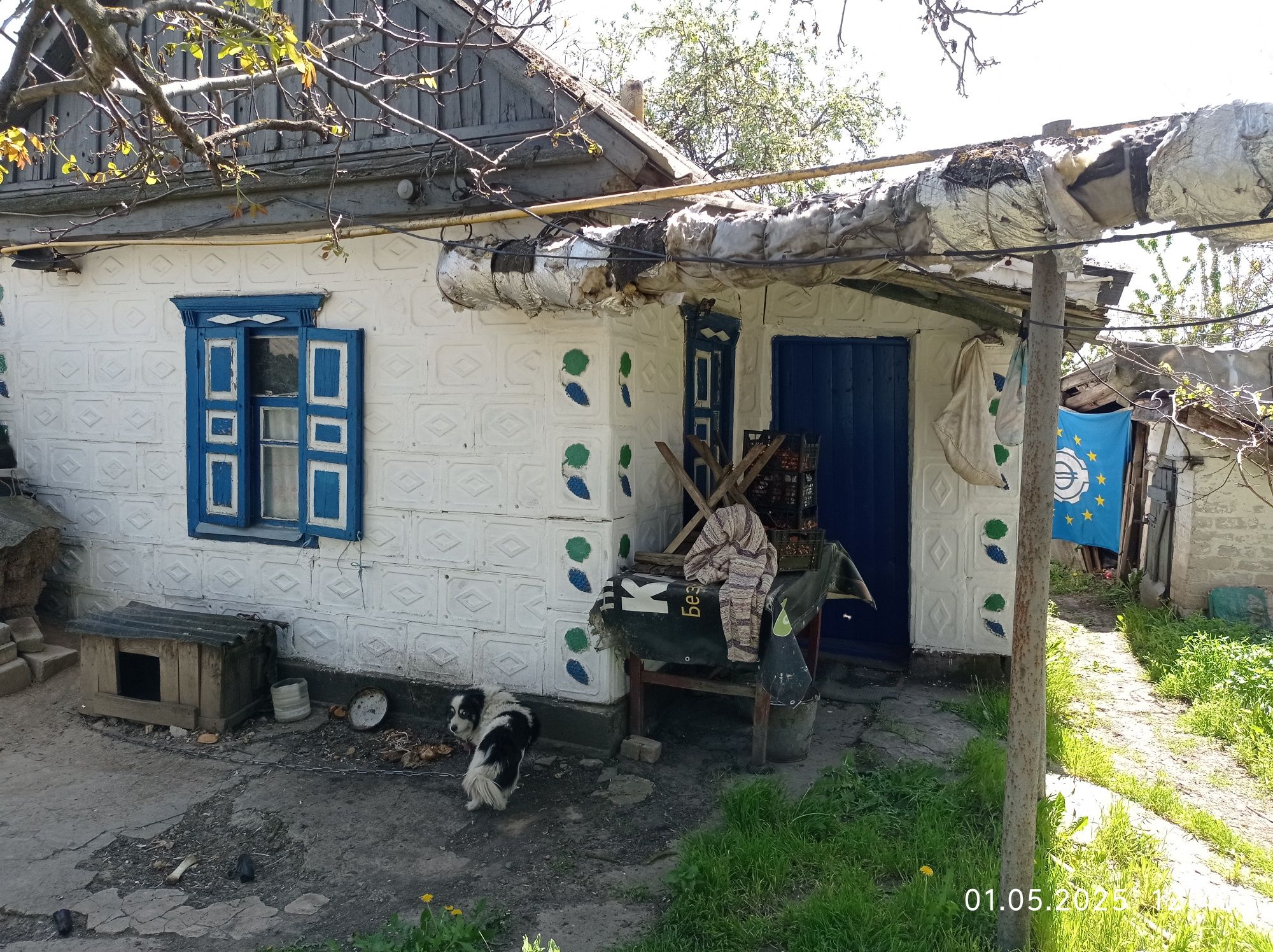 Продам дом в чистом месте с большим садом и огородом