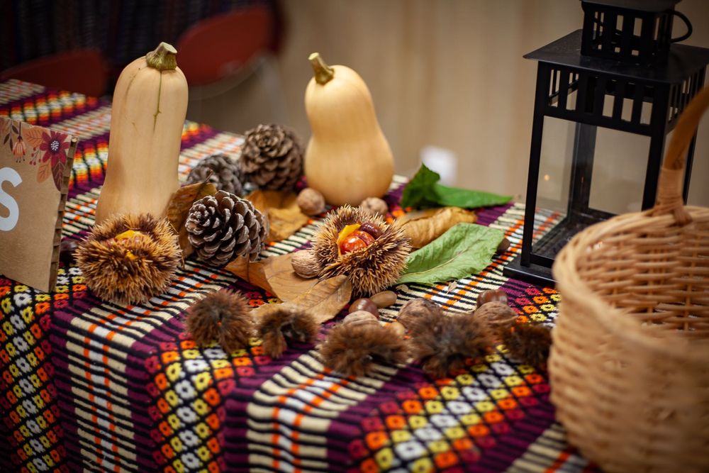 Serviço de Assador de Castanhas - Exclusivo para Empresas