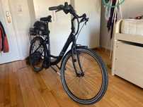 Bicicleta elétrica companheira