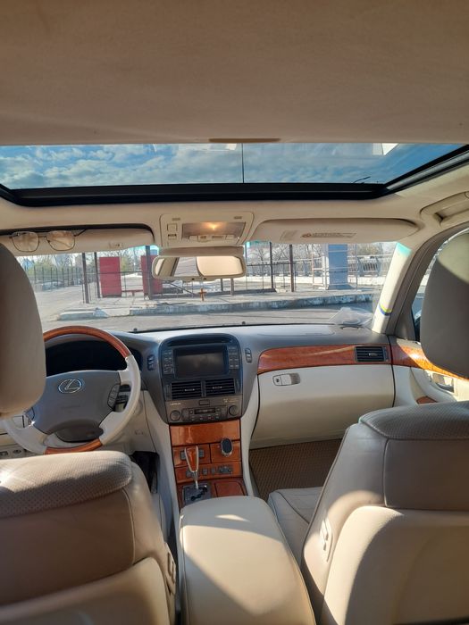 Продам "японського кабана"