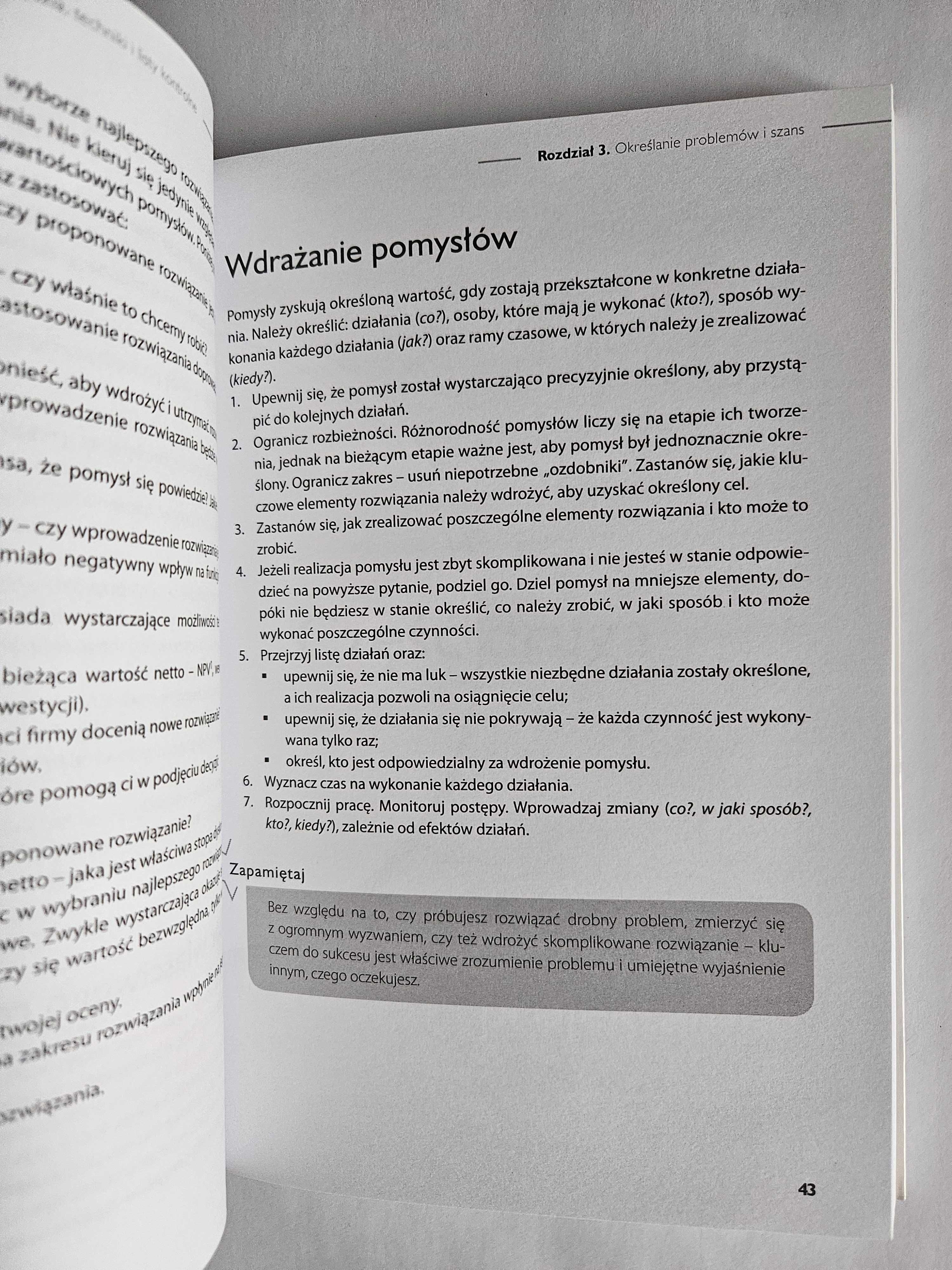 Poradnik MENADŻERA PROJEKTU - Richard Newton