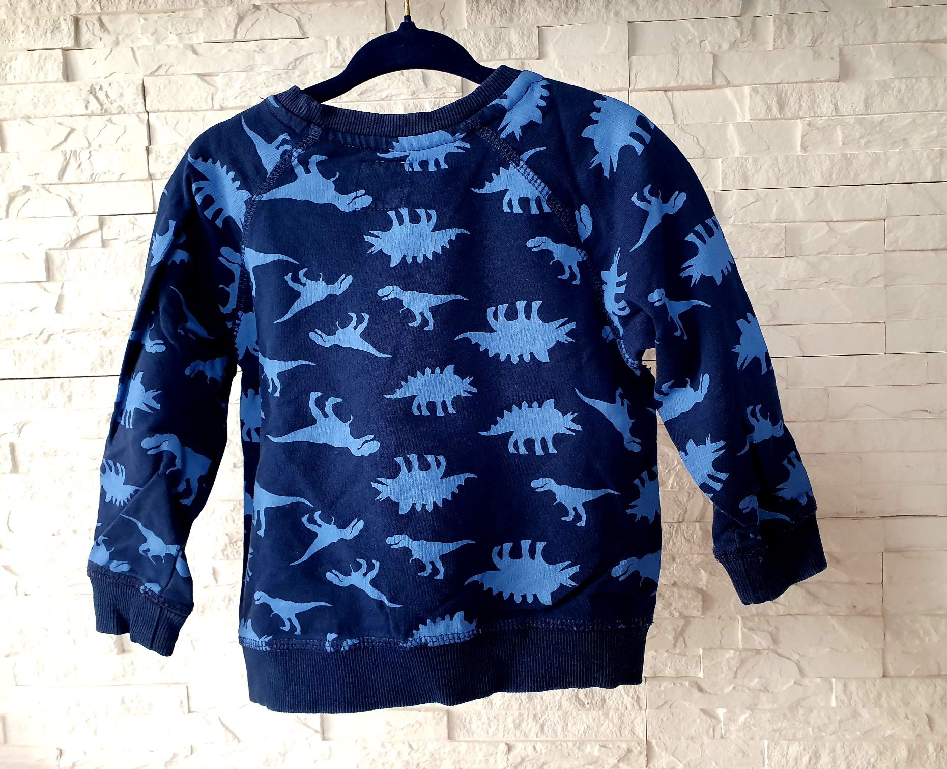 Bluza chłopięca dinozaury dino kid