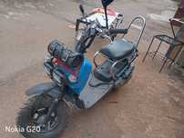 Honda zoomer  ruckus з документами на номерах