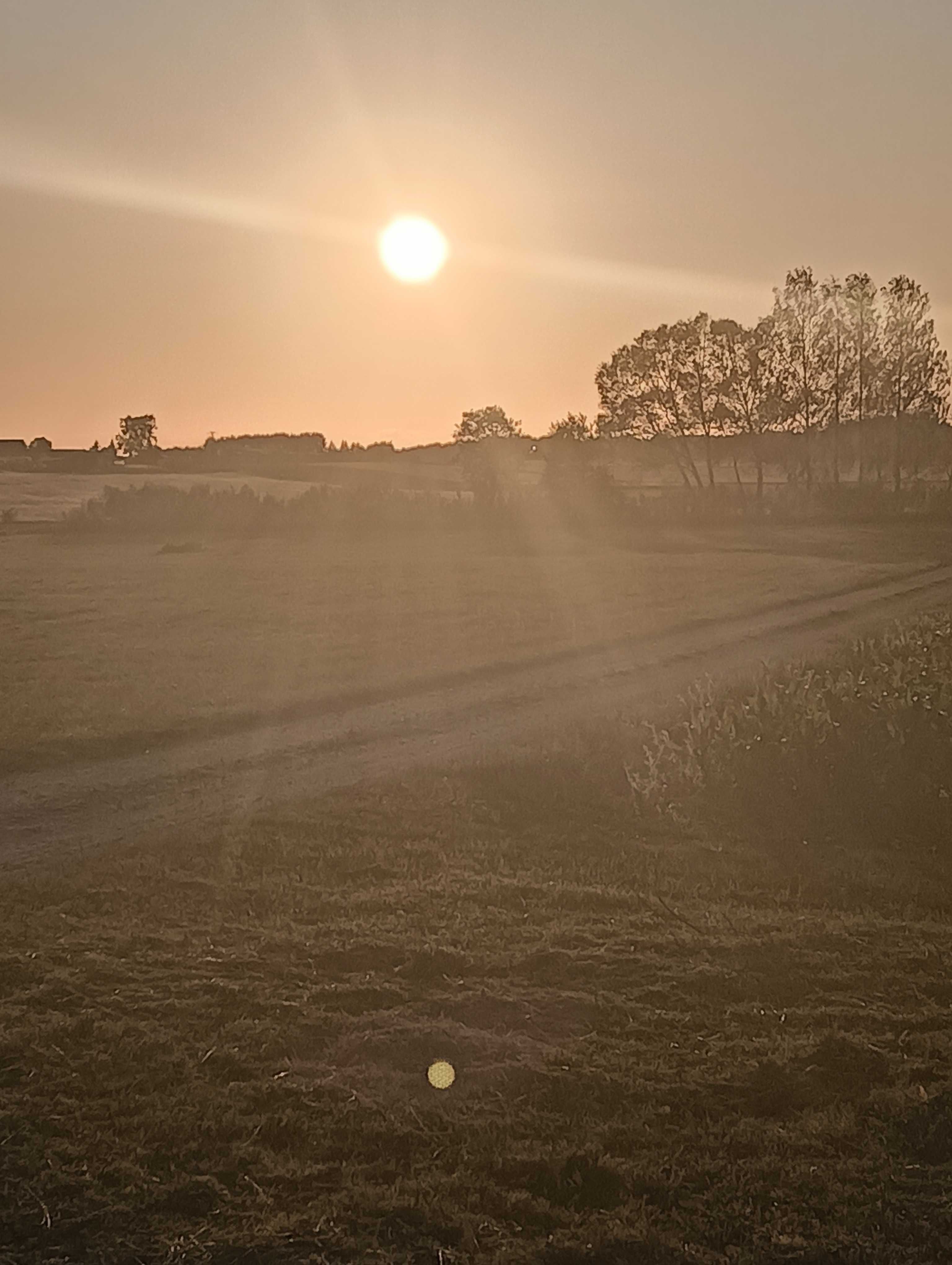 Gospodarstwo Agroturystyczne u Monisi i Kulfona