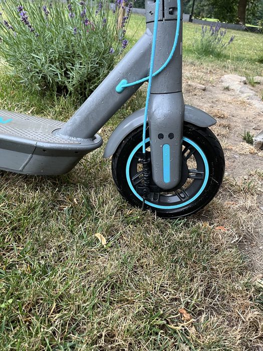 Motus scooty 10 2022