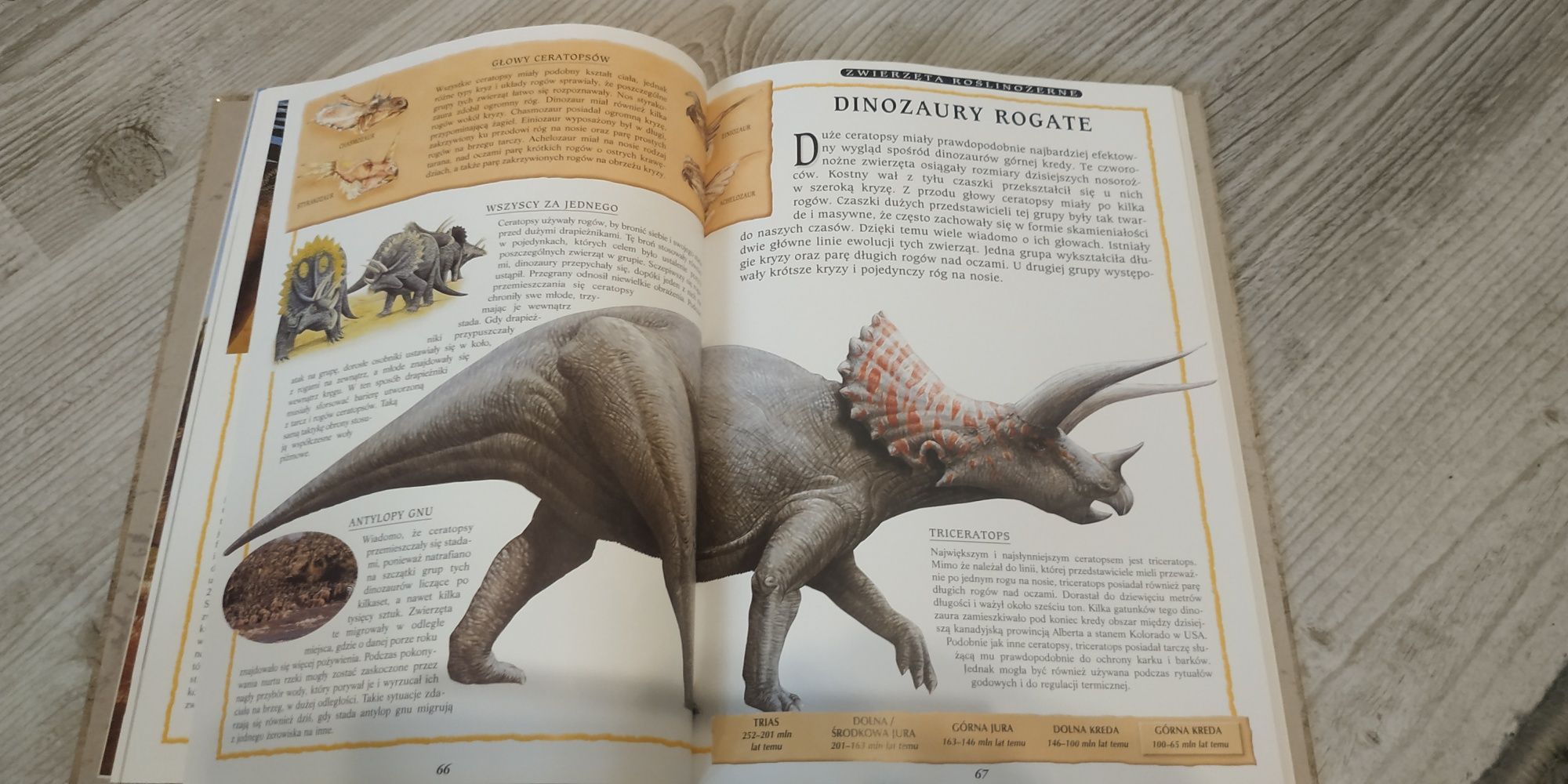 Encyklopedia dinozaurów. Kalendarium, gatunki, fakty.