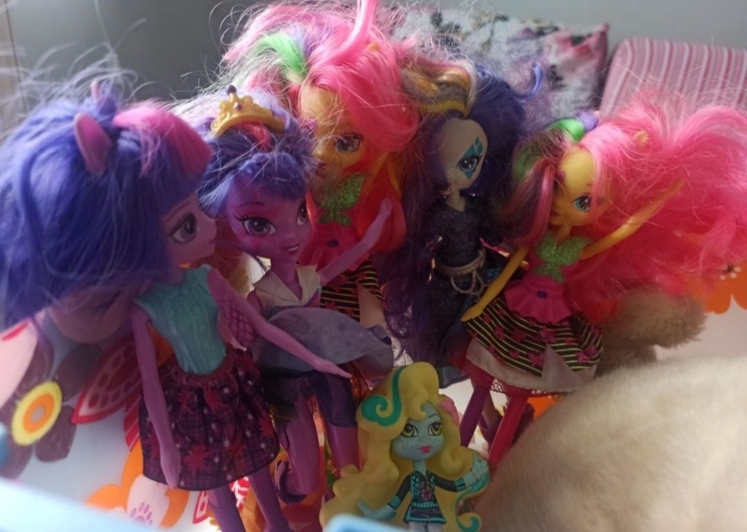 Littlest Pet Shop + domek + lalki equestria girls