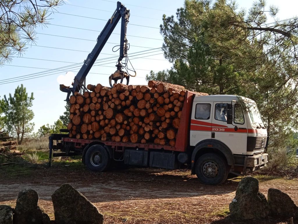 Camião Mercedes 2038