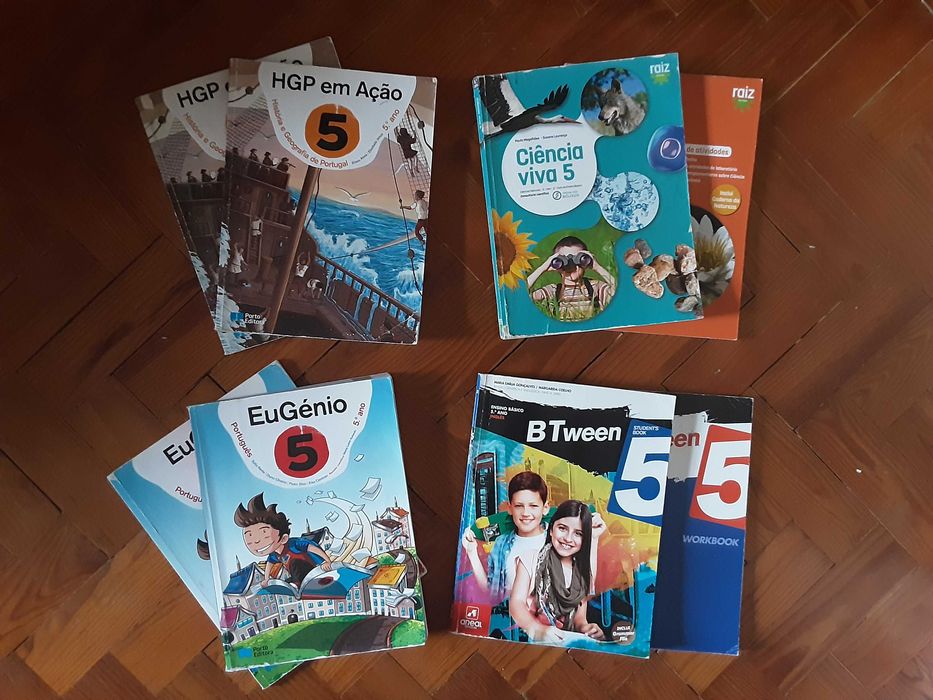 Manuais Escolares e Cadernos de Atividades - 5º Ano - 5€/cada!