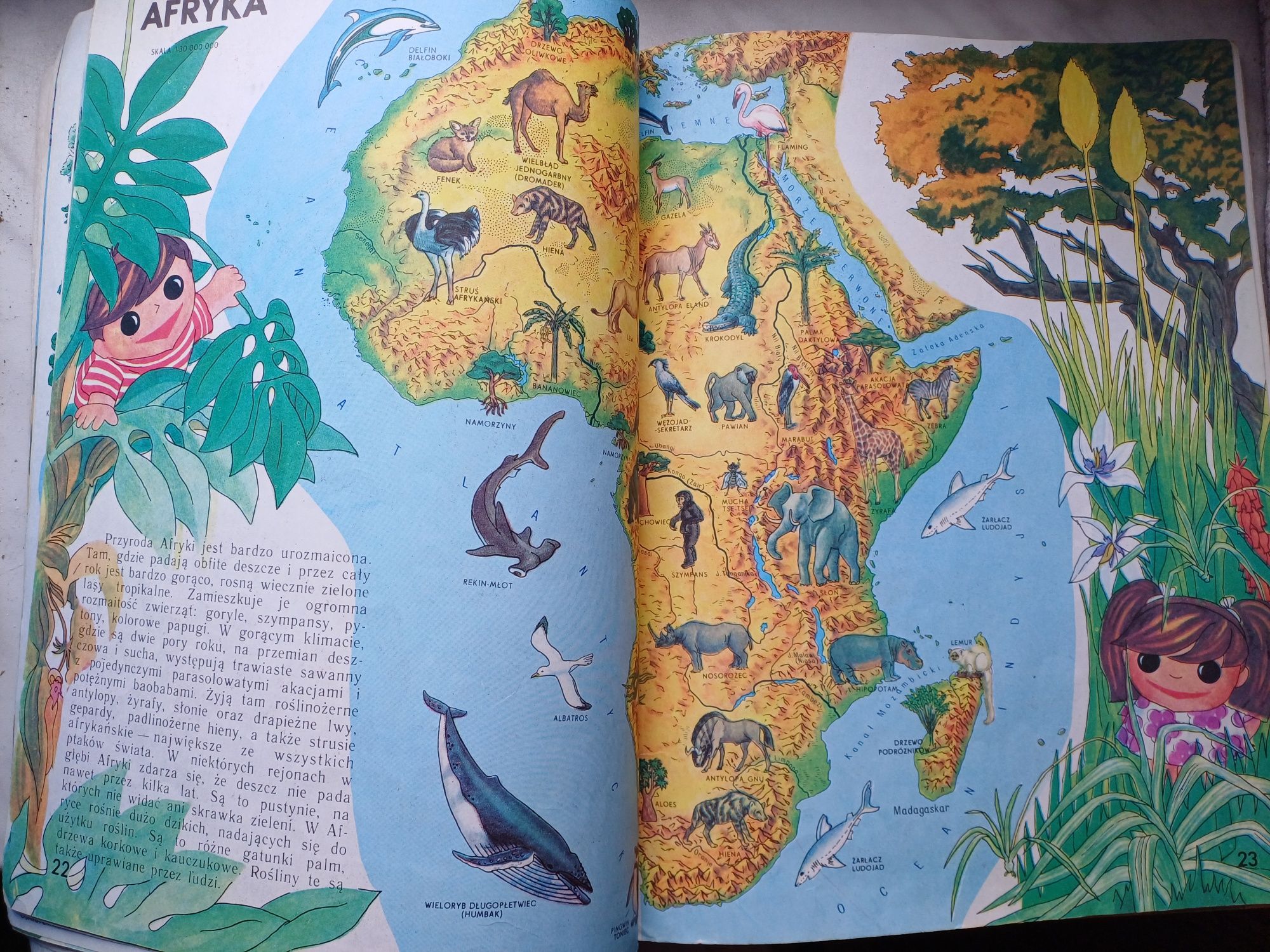 Świat wokół nas  encyklopedyczny atlas dla dzieci