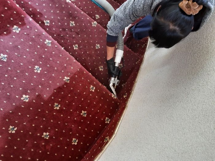 Прибирання квартир, хімчистка килимів, хімчистка меблів, клінінг