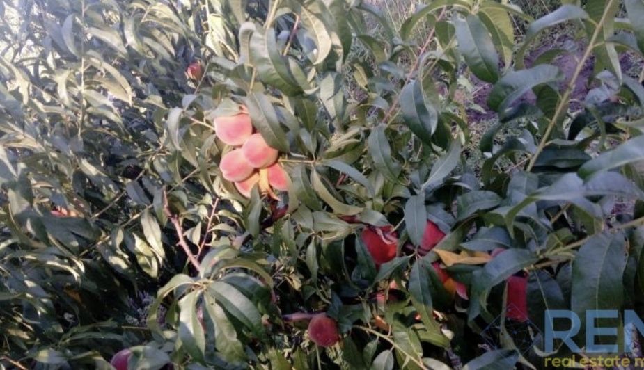 Продам дом Одеська обл. Роздільнянський  рн. пгт Ліманське