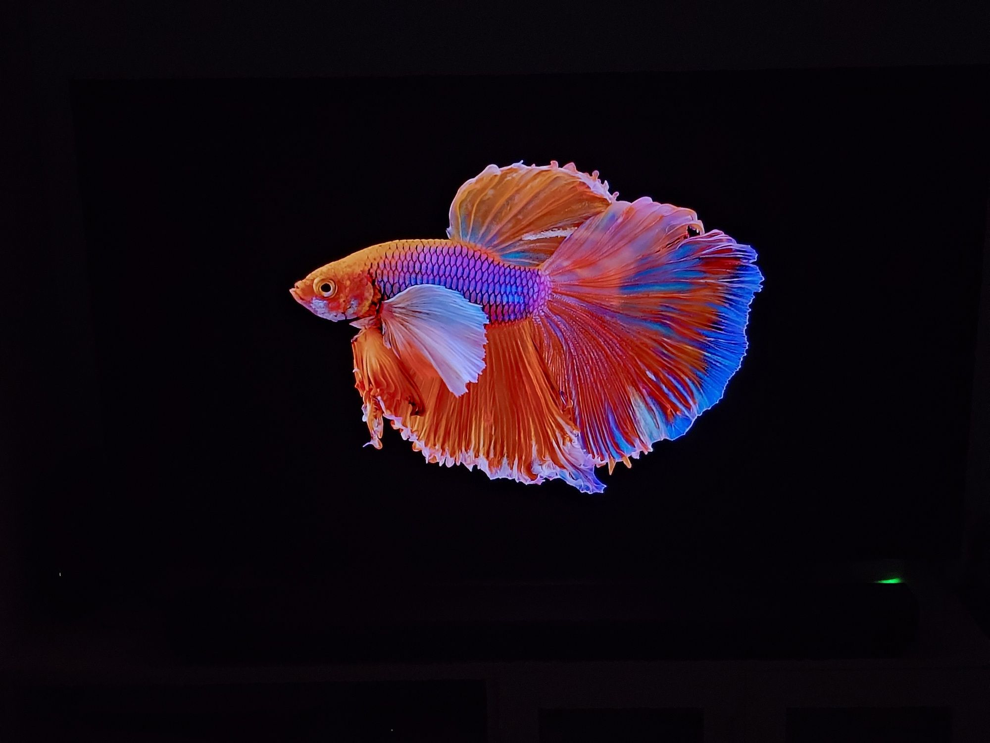 Televisão TV LG OLED 65CX 65"