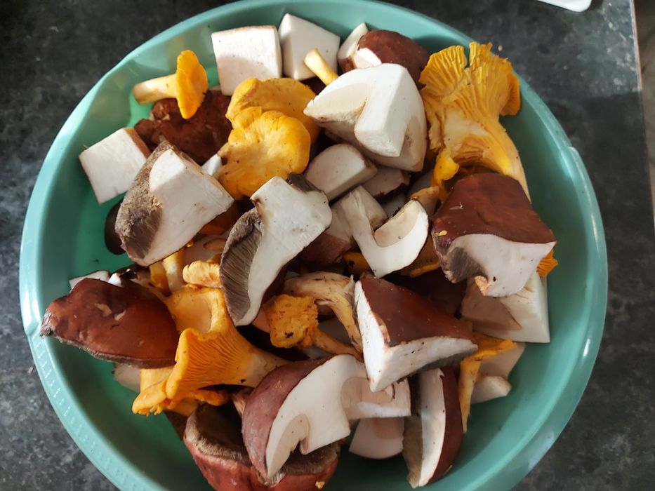 10x315 ml grzyby mieszane marynowane borowiki kurki podgrzybki