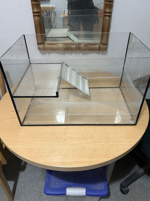 Akwarium dla żówia