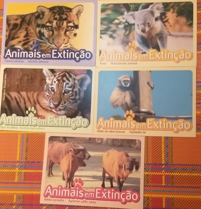 Vendo postais antigos