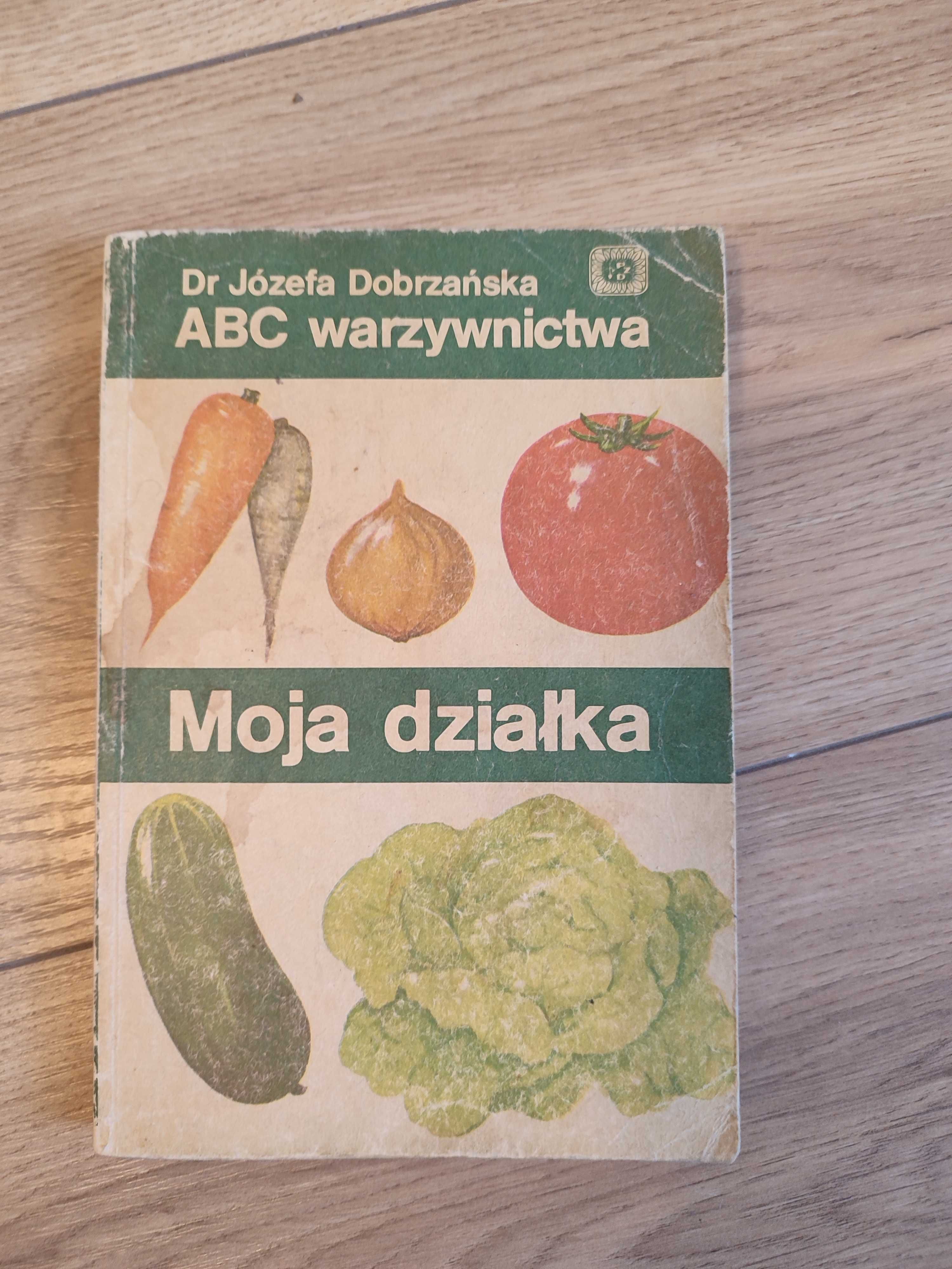 ABC warzywnictwa Moja działka Józefa Dobrzańska