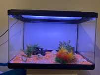 Aquario completo com Luz