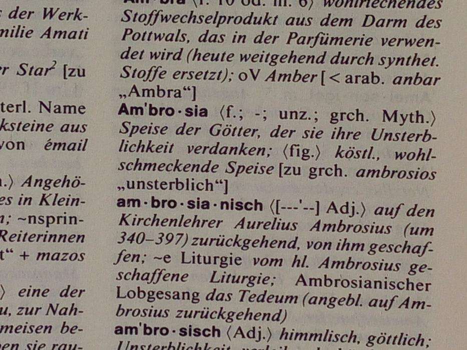 Dicionário Alemão Wahrig, Neu