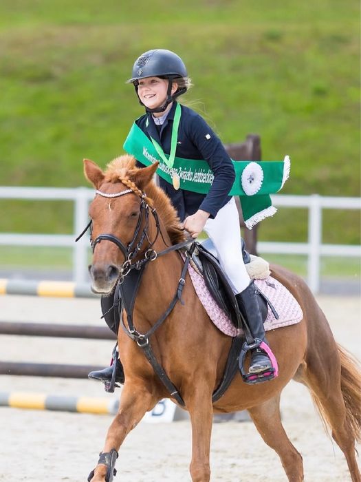 Top Kucyk na sprzedaż