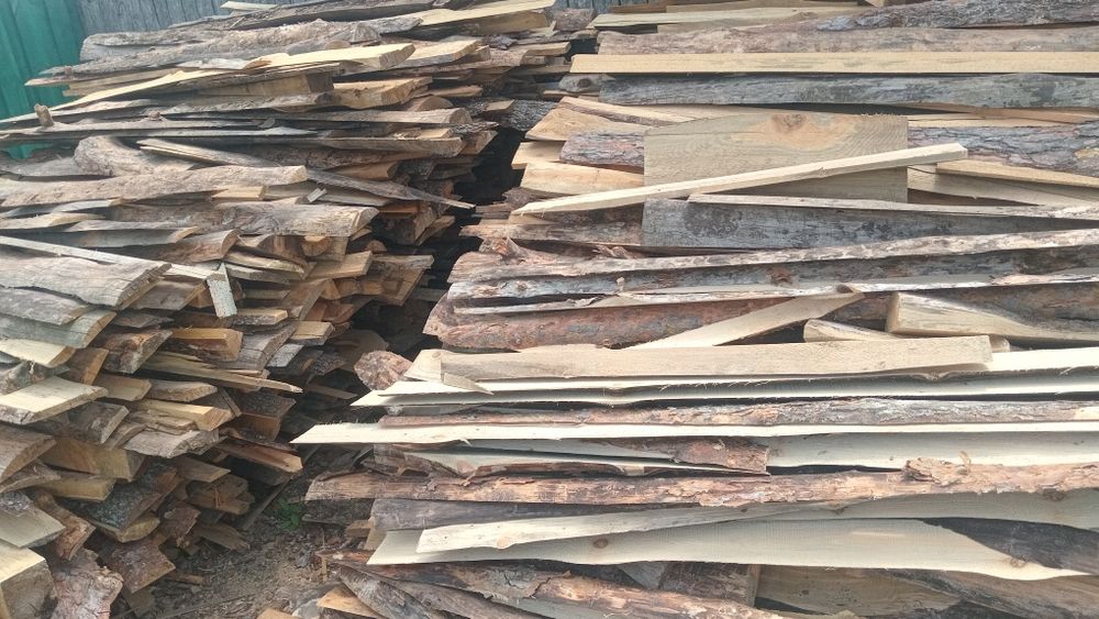 Обзели соснові двохметрові