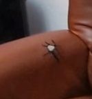 Conjunto de Sofás - usados