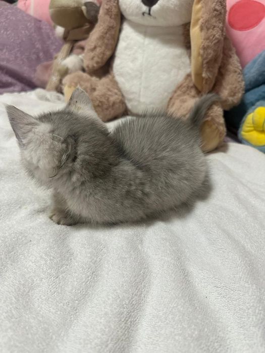 Хлопчик в хороші руки