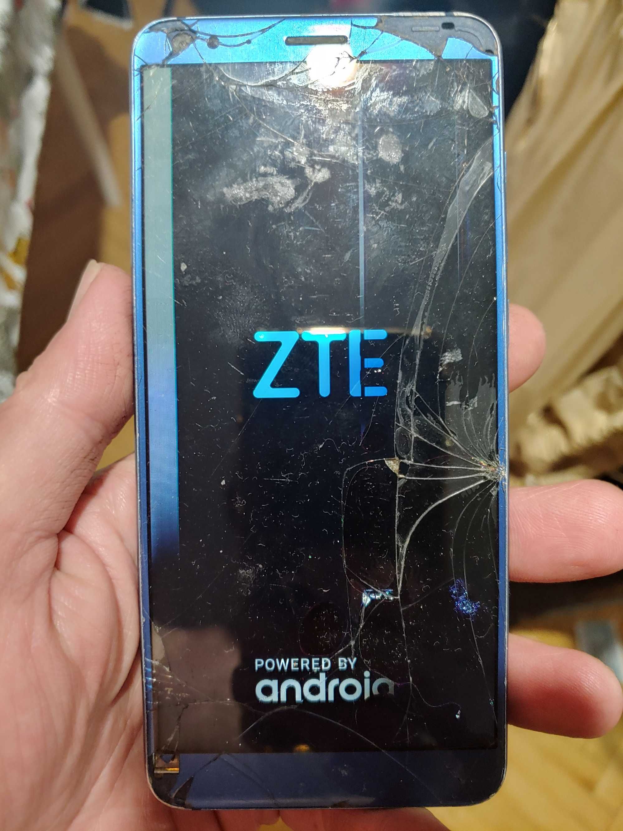 DS Galaxy A5 SM-A520F      ZTE BLADE v9