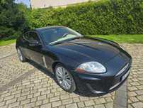 Jaguar XK Wersja europejska Jasny srodek
