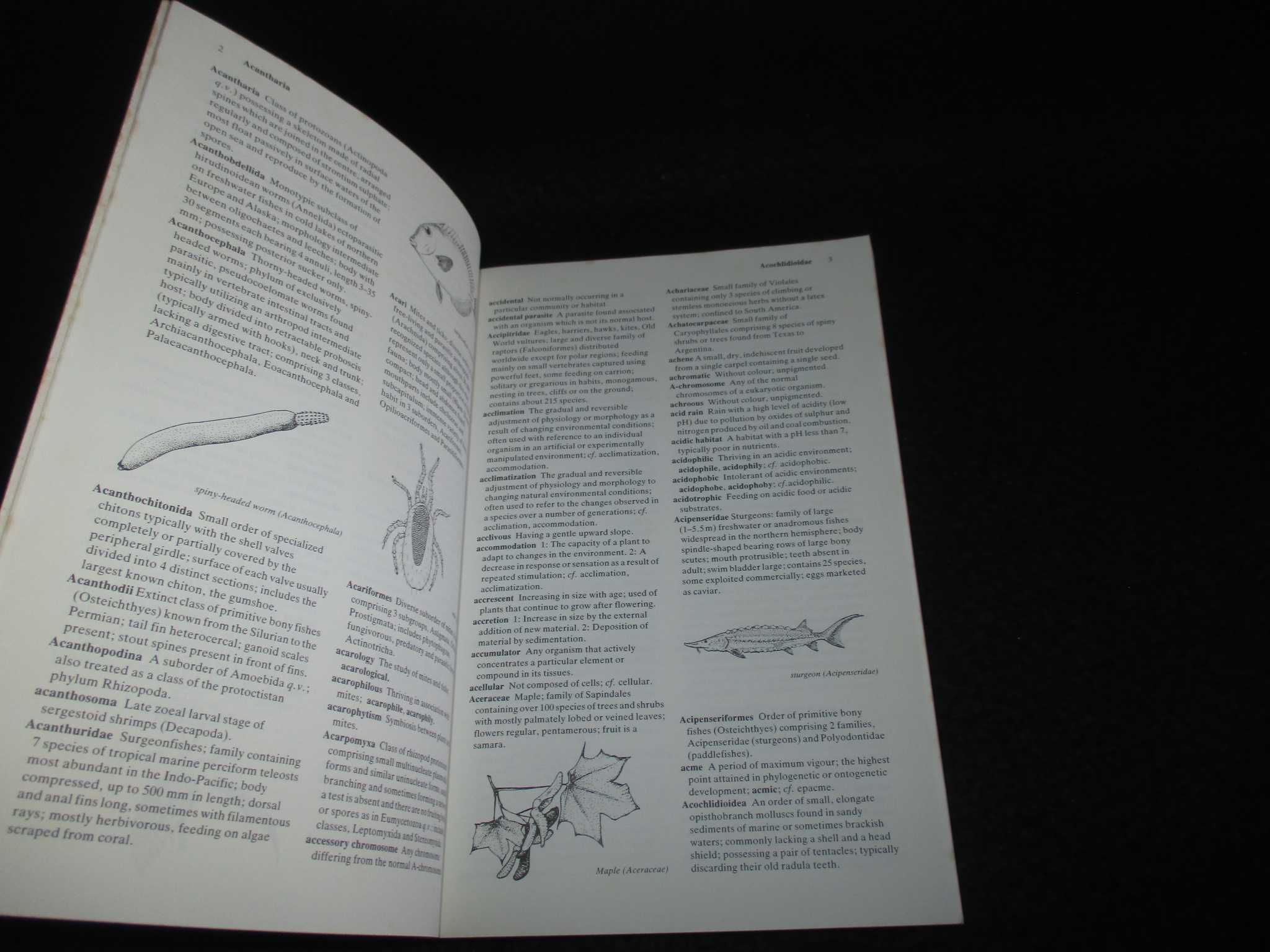 Livro The Cambridge Illustrated Dictionary of Natural History