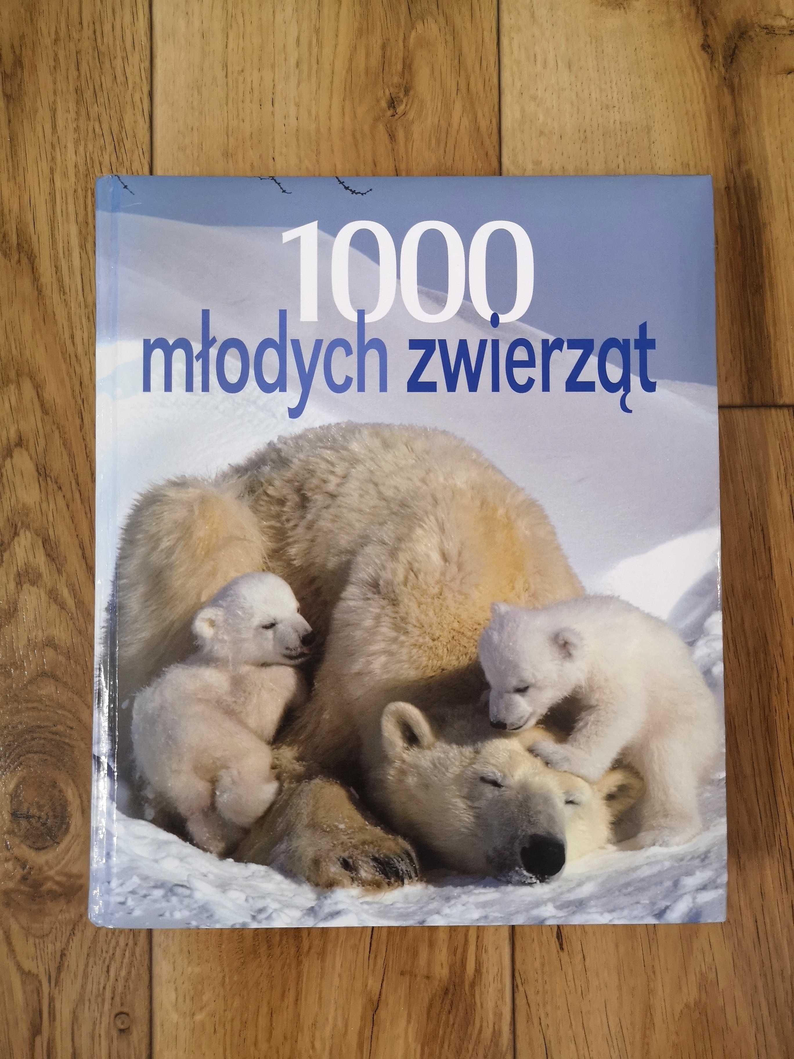 Encyklopedia 1000 Młodych zwierząt