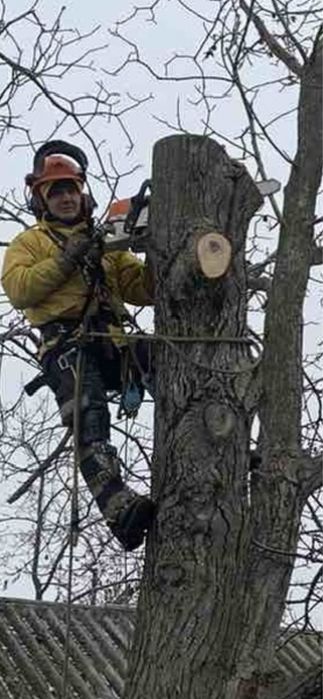 Зрізання аварійних дерев.Порізка  на дрова.Подрібнення гілля.