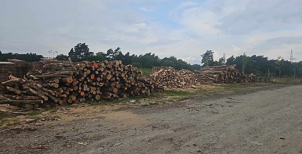 Drewno opałowe kominkowe