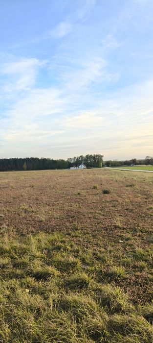 Działka budowlana Wiśnicz Małogoszcz