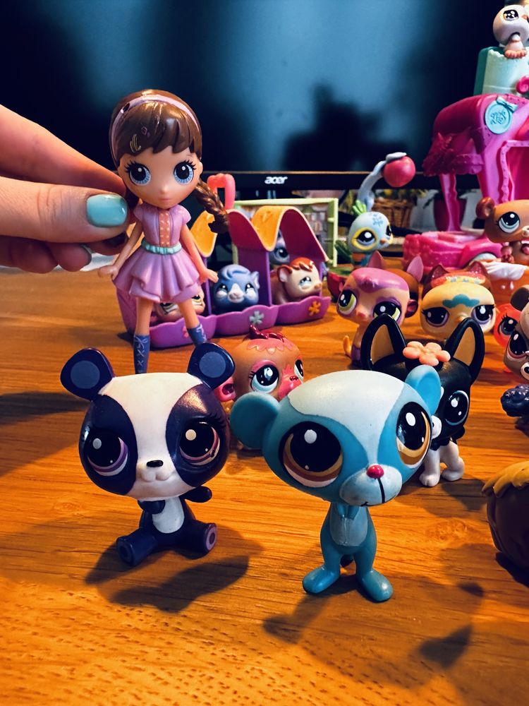 Kolekcja littlest Pet Shop