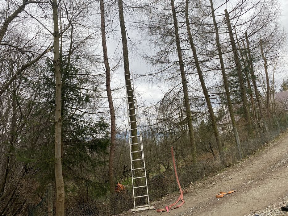 Wycinka przycinka ,czyszczenie drzew ,usługi rębakiem ,koszenie traw !