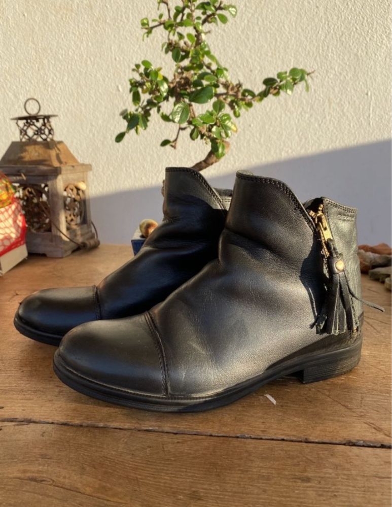 Sapato Geox Núm. 33