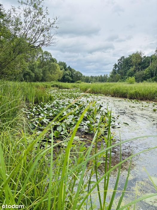 Działka siedliskowa nad rzeką Świder z pozwoleniem na budowę