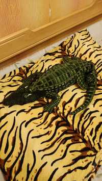 Крокодил мягкая игрушка