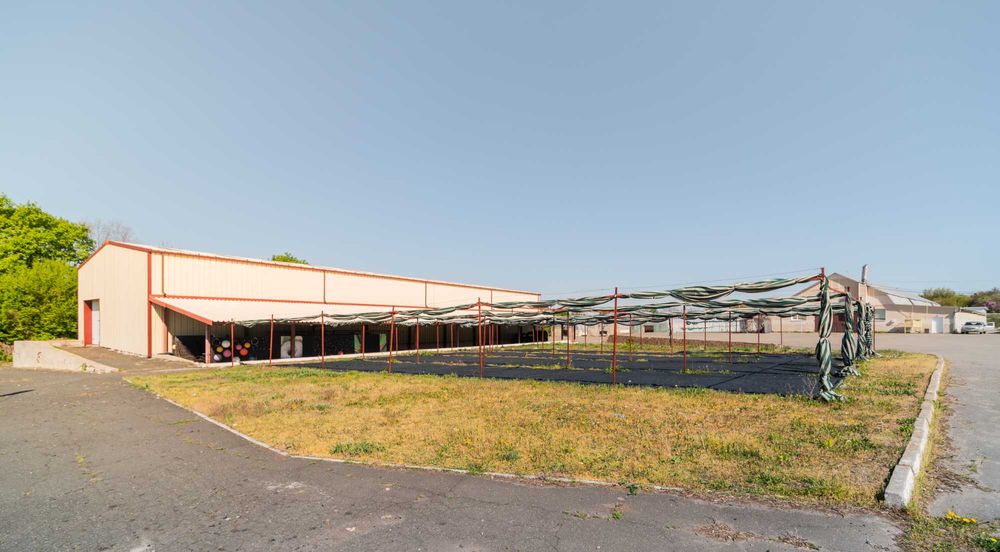 Теплиці в оренду |  теплі підлоги, вода, світло | смт Хорошеве