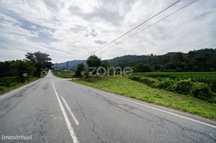 Terreno c/1.184m2 em Encourados, Barcelos!