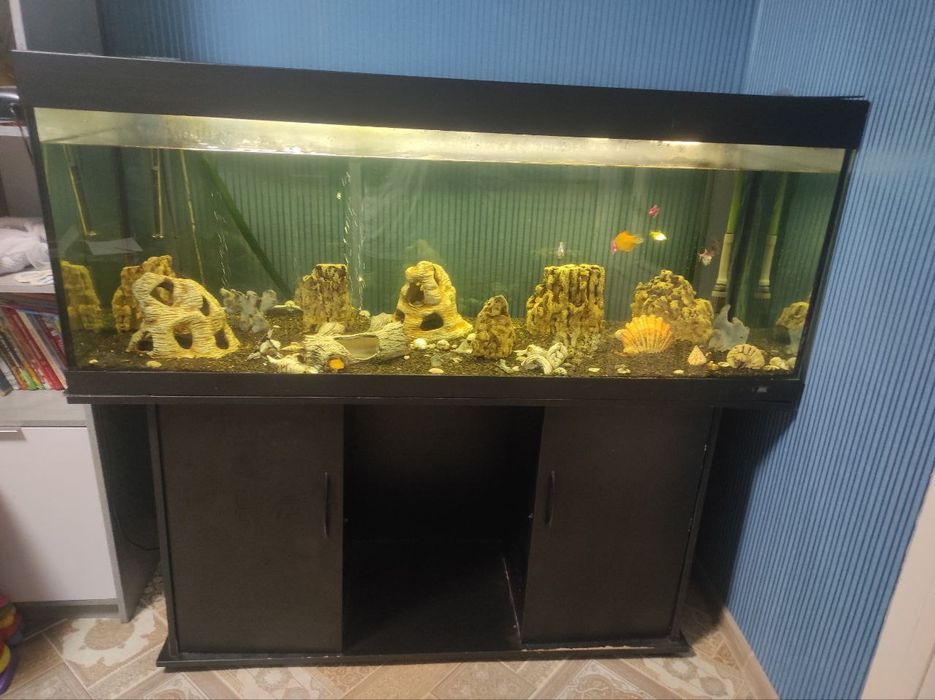Аквариум с рыбками тумбой і з усією системою.