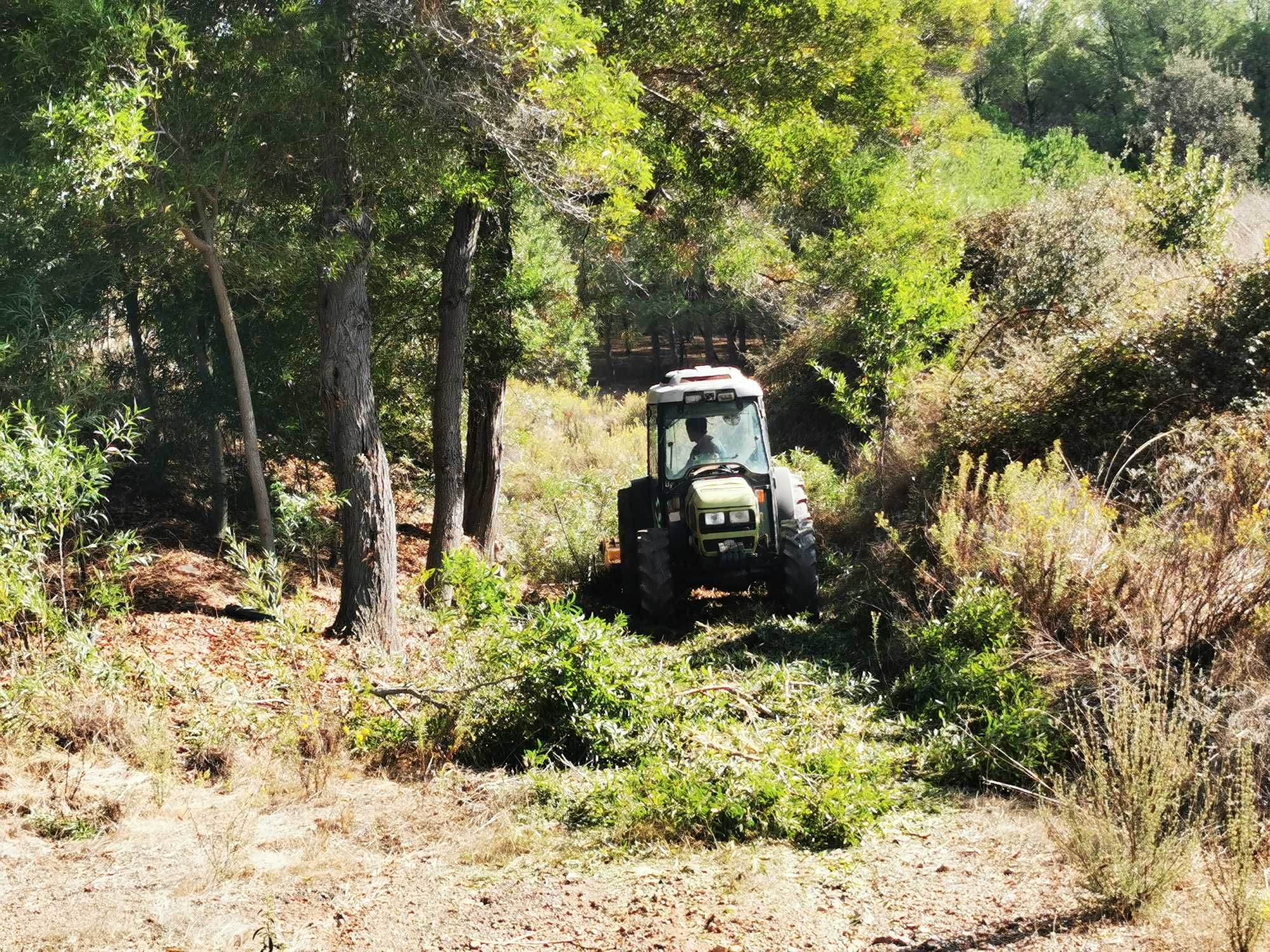 Limpeza de terrenos,desmatações /Landscape clearance,landscape changes