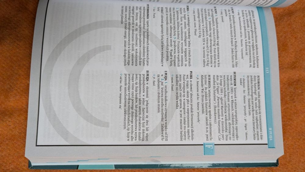 Młodzieżowy słownik wyrazów obcych i trudnych - Pawelec