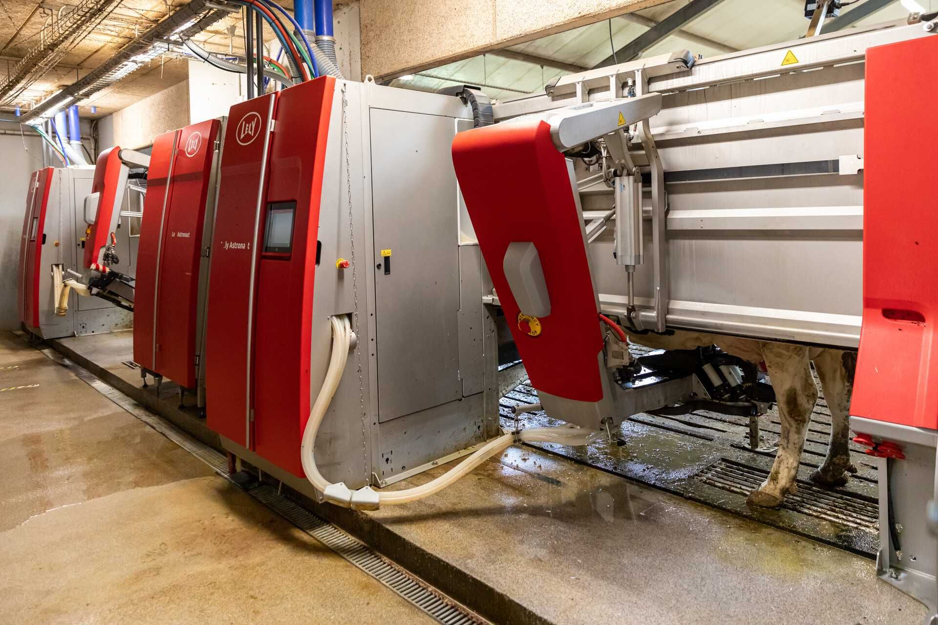 Robot LELY Astronaut A5 - nowy, na indywidualne zamówienie