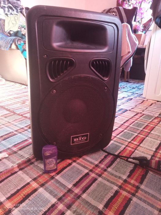 Активна колонка big 350 ват