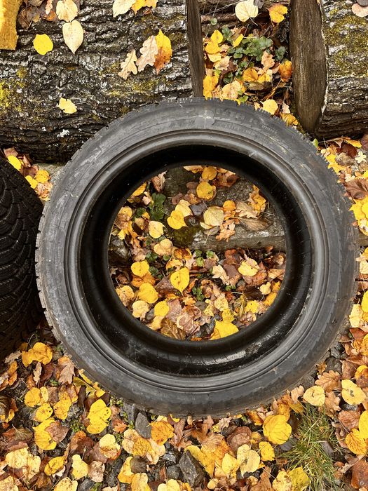 Зимняя резина на авто